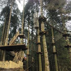 Go Ape Forest Adventure. Product thumbnail image