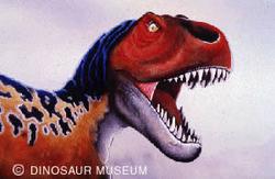 The Dinosaur Museum. Product thumbnail image